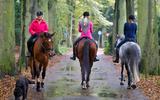 Paardenliefhebbers in Nederland maken in totaal met elkaar zo’n zeventien miljoen ritten per jaar.