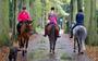 Paardenliefhebbers in Nederland maken in totaal met elkaar zo’n zeventien miljoen ritten per jaar.
