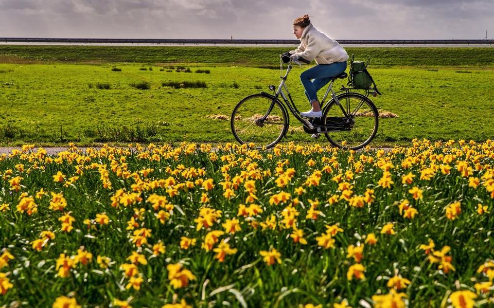 Fietsen is meer dan je verplaatsen van a naar b. Het is goed voor de volksgezondheid, vindt de Fietsesbond.