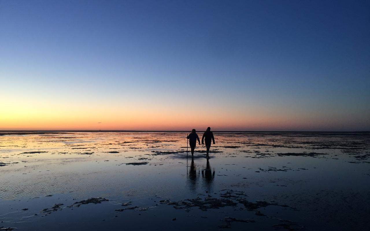 Wandelen op het Wad moet ook voor toekomstige generaties mogelijk blijven. Maar dan moeten de natuurwaarden in het beleid centraal komen te staan.