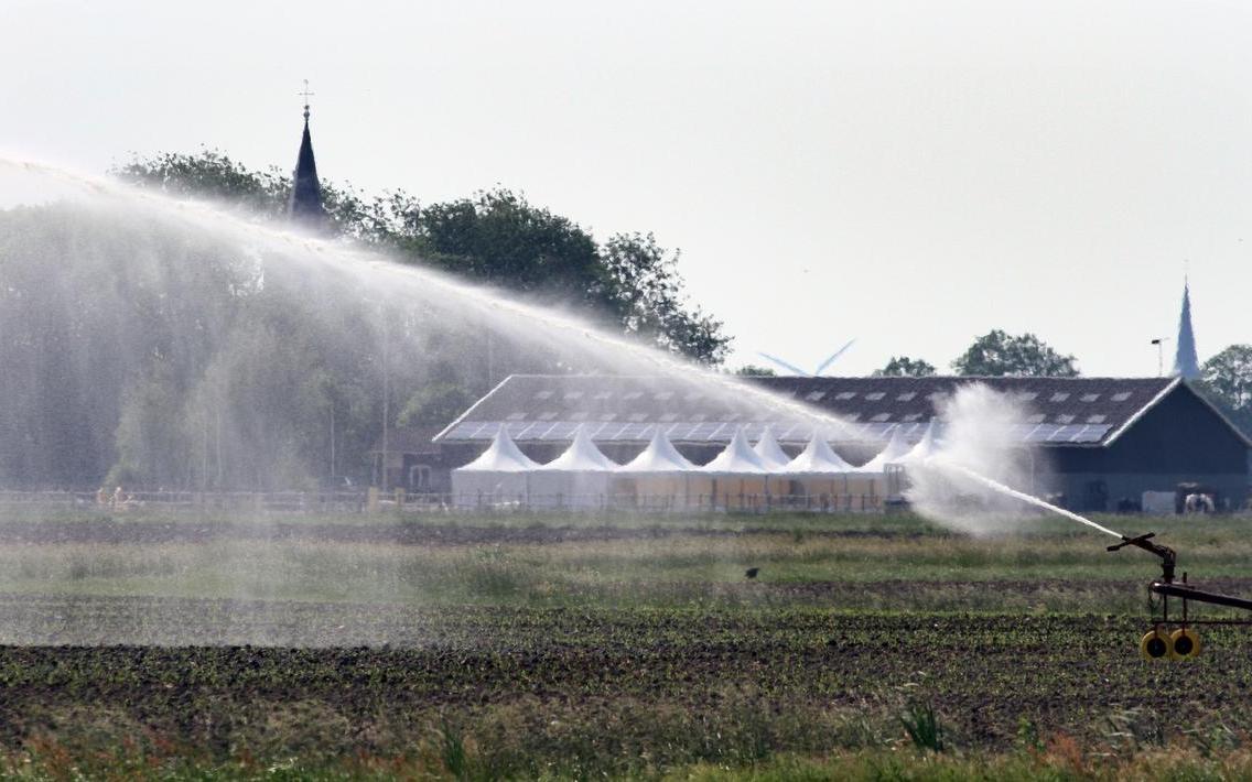 Hoe ook Fryslân, een provincie die water ademt, steeds meer last van de droogte zal gaan krijgen - F
