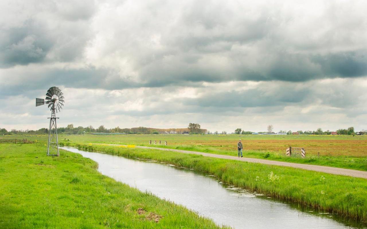 In het gebied ten noorden van Earnewâld beheert Stichting Weideleven 78 hectare weidevogelland volgens haar eigen methode. Het aantal gruttopaartjes ging in drie jaar van nul naar negentig.