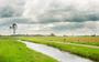 In het gebied ten noorden van Earnewâld beheert Stichting Weideleven 78 hectare weidevogelland volgens haar eigen methode. Het aantal gruttopaartjes ging in drie jaar van nul naar negentig.