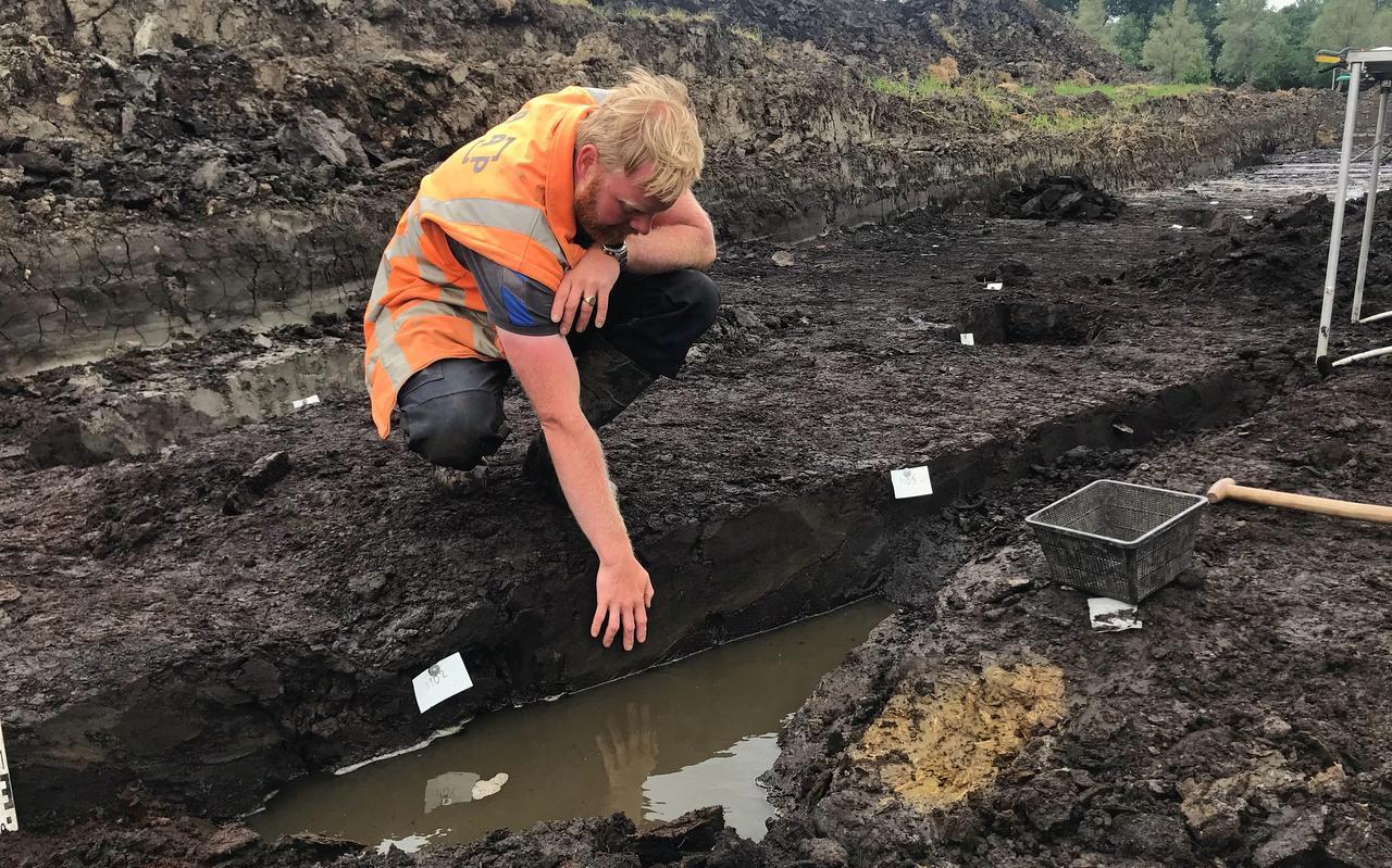 Archeoloog Theun Varwijk ontdekte dat de sloot die hij vijf jaar geleden tegenkwam eigenlijk een waterhoudende laag was die door de bewoners met stro en mest (het gele rechts) werd opgehoogd.