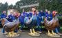 Dit jaar ontvreemde De Geitefok de beelden van kippen en haan uit Barneveld.