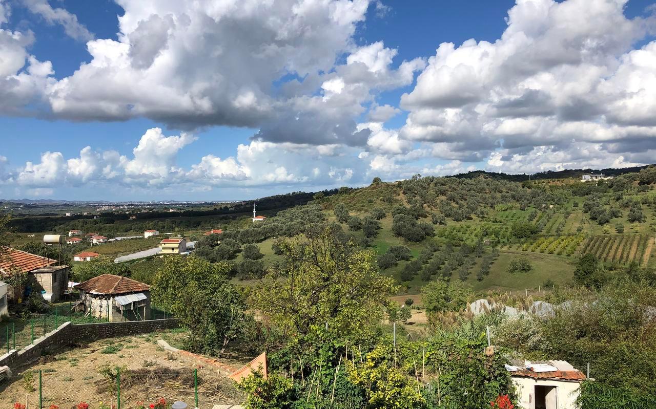 Rond de Albanese plaats Pinet liggen velden met druivenplanten en olijfbomen. Het werk in die agrarische sector is zwaar, waardoor jongeren liever voor werk naar het buitenland trekken.