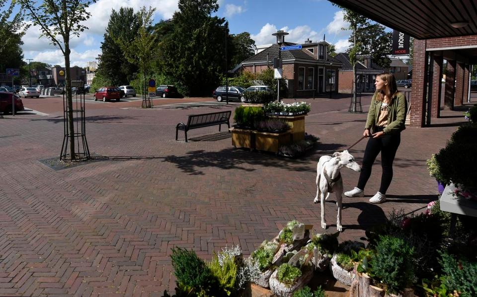 Hartje Buitenpost, met links in de verte de Coop en Lidl. Bezoekers van die supermarkten moeten worden verleid om het centrum om verder te winkelen.