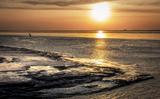 De voorgenomen beleidsplannen om het Waddengebied effectiever te beschermen schieten volgens de Waddenvereniging ernstig tekort.