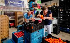 Vrijwilligers sorteren kilo’s paprika’s bij de voedselbank. Ook in Nederland is armoede een probleem voor vele gezinnen.