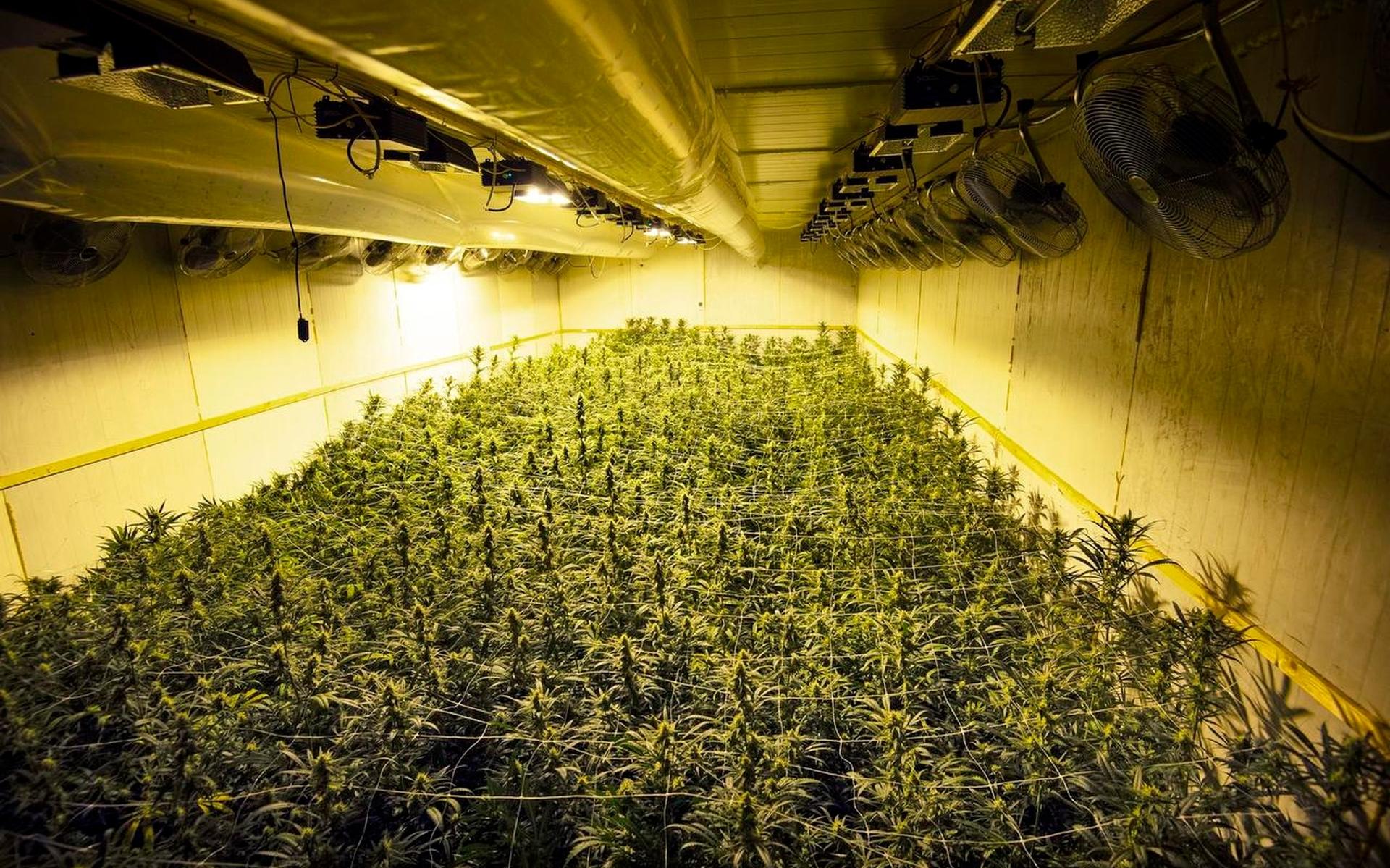 Samenwerking nodig om platteland te beschermen tegen drugscriminaliteit
