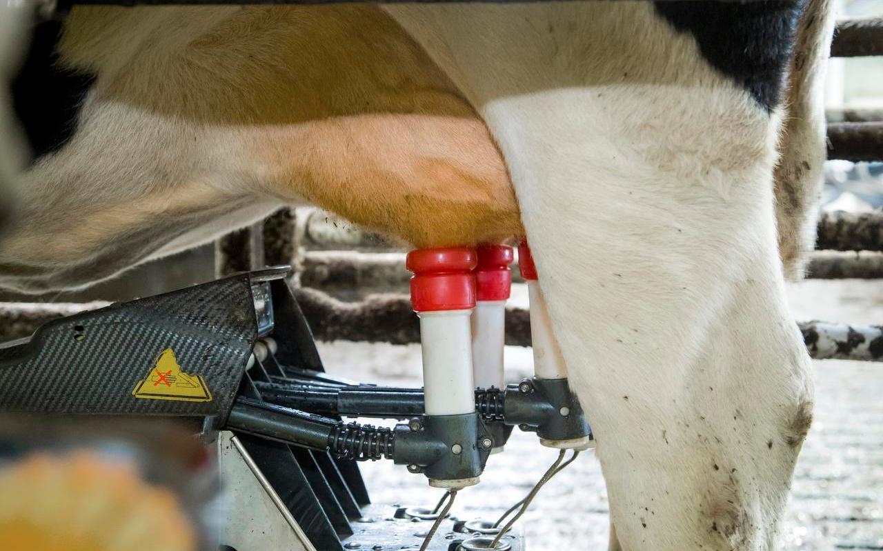 Een melkrobot kan worden overgenomen door hackers. Boeren zijn zich nog niet bewust genoeg van de risico’s van digitaal werken.