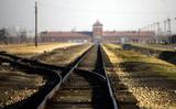 Een confrontatie met een onvoorstelbaar verleden: zo kan een bezoek aan Auschwitz het best worden beschreven.