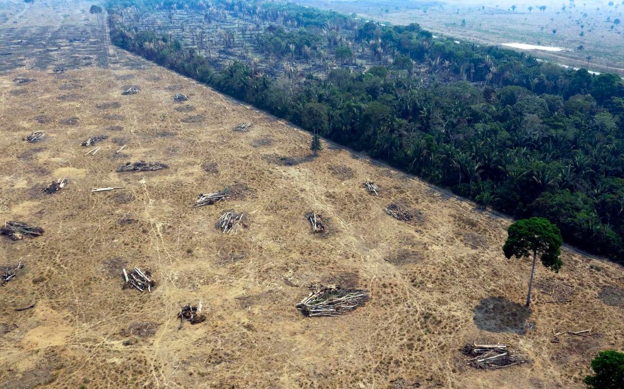Een ontbost deel van het Amazone-regenwoud in Brazilië.