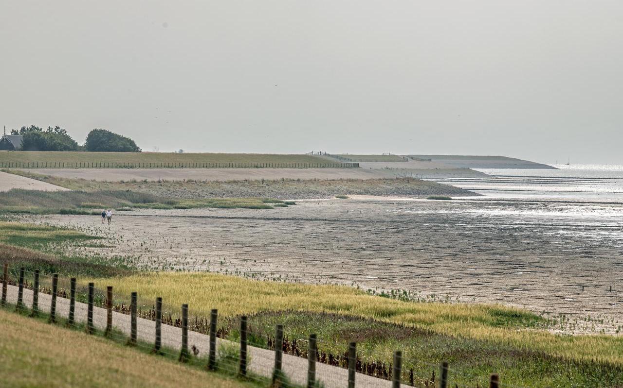 De zeedijk bij Koehool, richting Roptazijl.