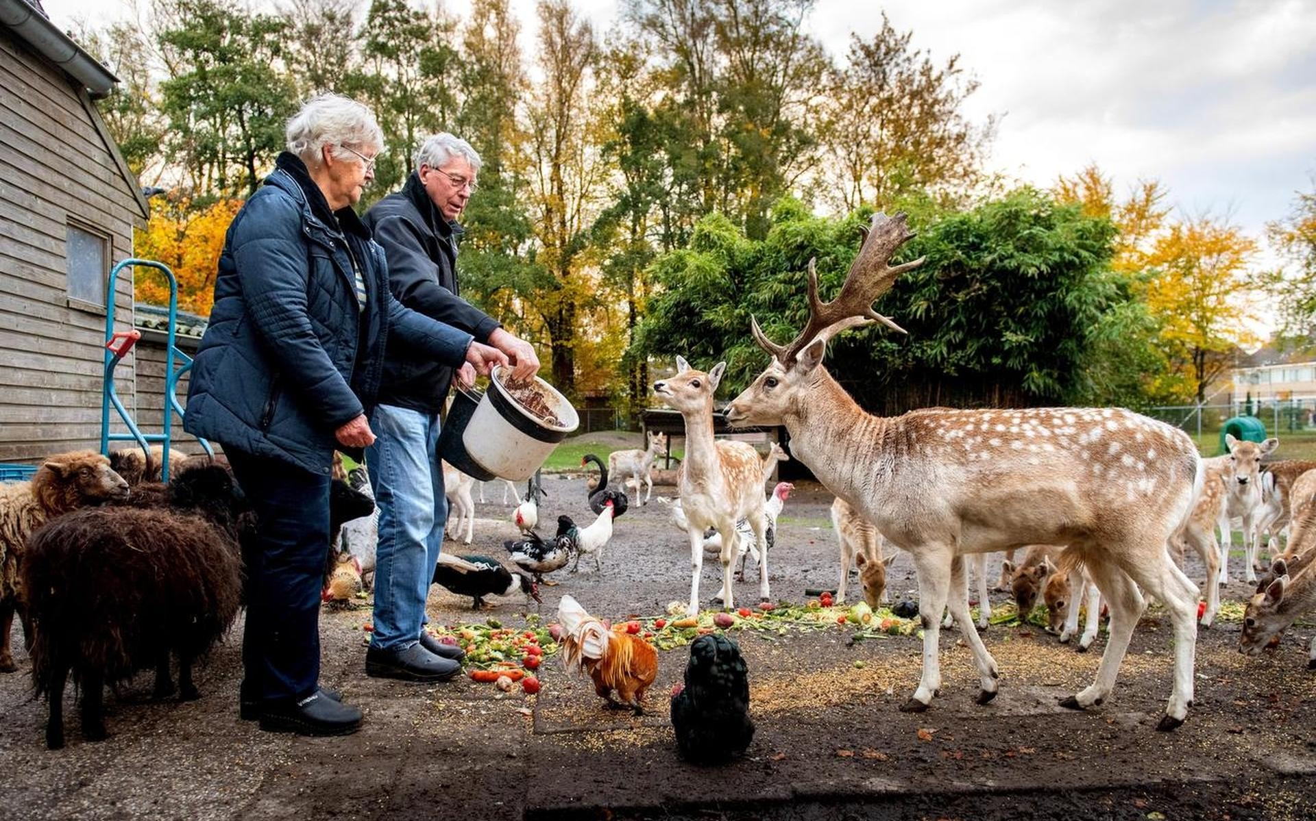 Surhuisterveense herten al halve eeuw blij met Joop en Menke - Friesch Dagblad