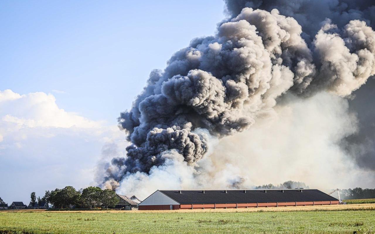 Stalbrand Niawier is drama voor kippenboer, dieren en sector