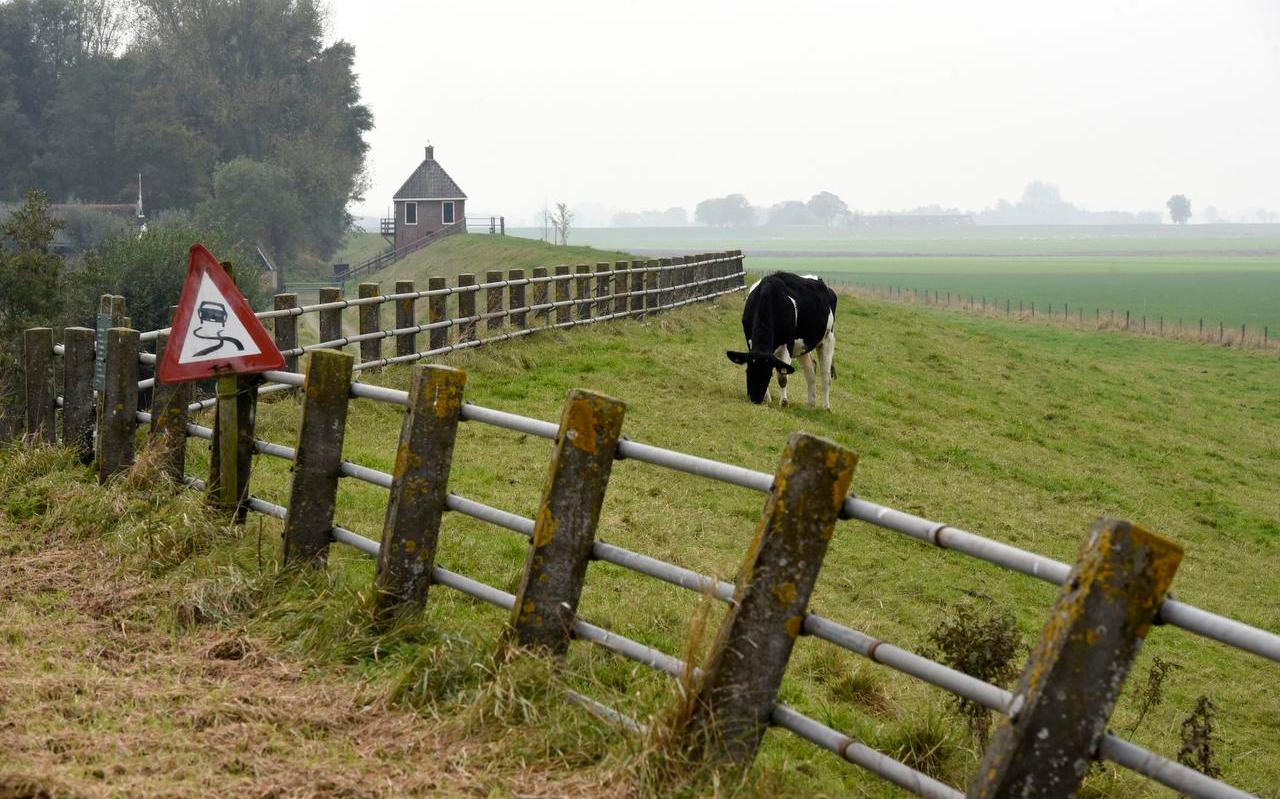 Een stukje buitendijks boerenland bij Kollumerpomp. 27 mensen in dit gebied konden niet stemmen voor Wetterskip Fryslân, maar voor Noorderzijlvest.