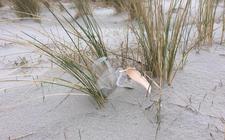 Plastic afval op de Waddenstranden raakt langzaam onder het zand.