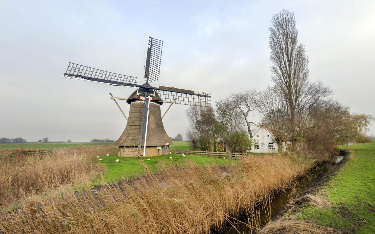 De Westermolen uit 1845 bij Kollumerpomp en molenaarswoning. De woning uit 1847 (volledig gerestaureerd in 2008) is afgelopen zomer verkocht en stond voor 275.000 euro te koop. De poldermolen is in bezit van de Stichting Erfgoed Kollumerland en Nieuw Kruisland en in 1988 volledig gerestaureerd. De Westermolen uit 1845 bij Kollumerpomp en molenaarswoning. De woning uit 1847 (volledig gerestaureerd in 2008) is afgelopen zomer verkocht en stond voor 275.000 euro te koop. De poldermolen is in bezit van de Stichting Erfgoed Kollumerland en Nieuw Kruisland en in 1988 volledig gerestaureerd.