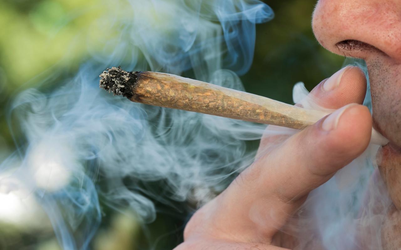 Een jonko is een joint. Een jonko is een joint.