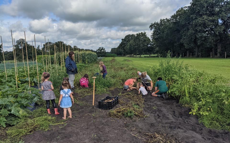De zelfoogsttuin in Nieuwehorne. Ook kleinere initiatieven kunnen dankzij een verkiezing in de schijnwerpers komen te staan.