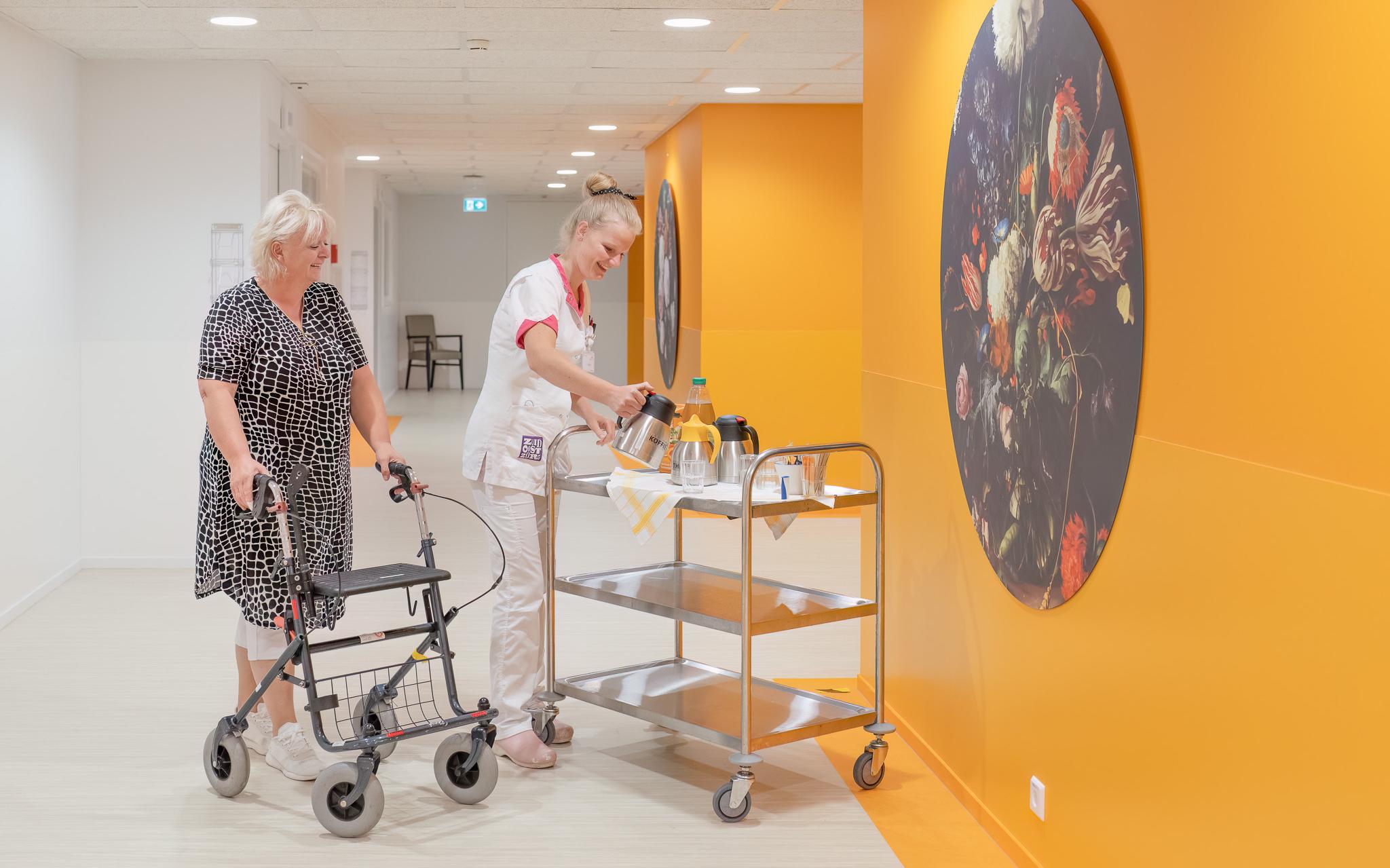 Nij Smellinghe en ZuidOostZorg richten stichting op om zorg voor Zuidoost-Fryslân te behouden - Frie