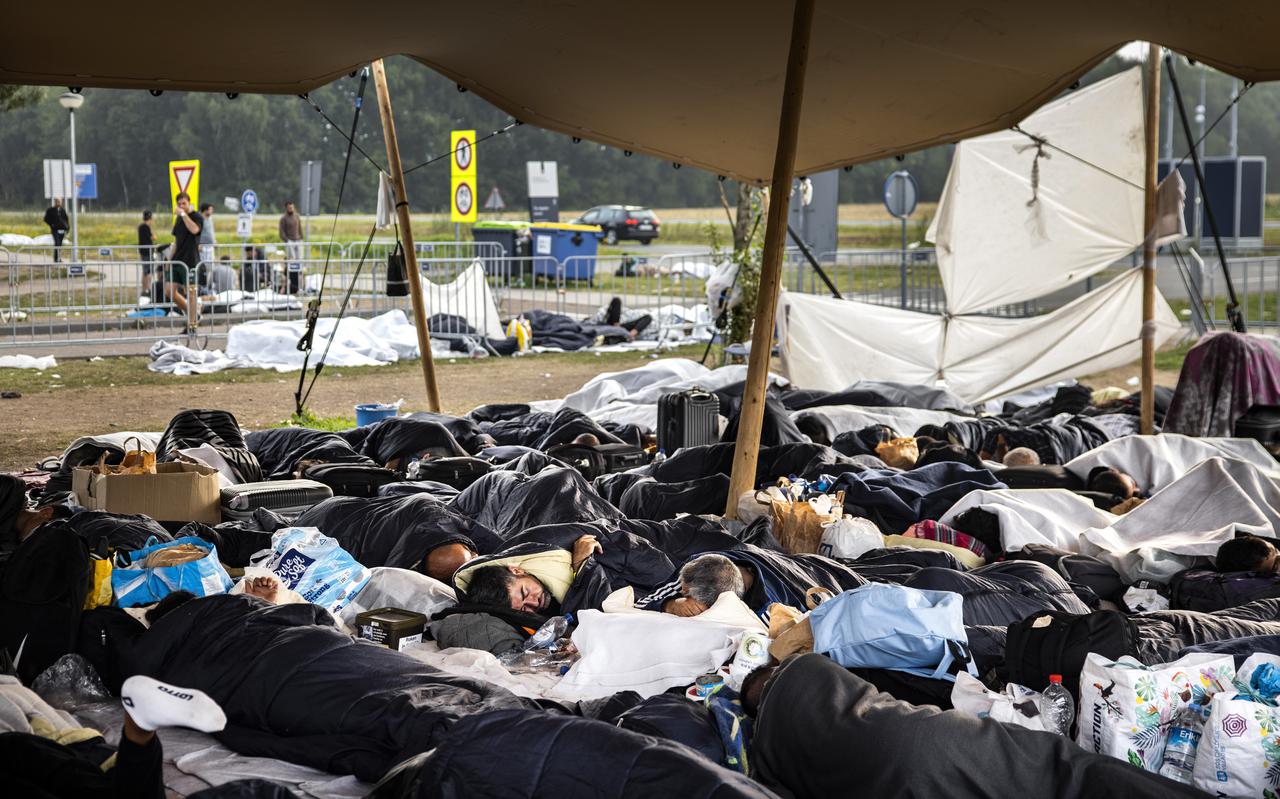 bal Rijp kooi Een recordaantal asielzoekers slaapt buiten in Ter Apel, terwijl er een tent  met honderden plekken leeg staat. Hoe zit dat? - Friesch Dagblad