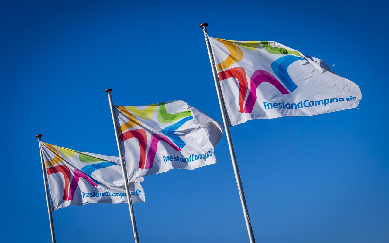 Vlaggen van zuivelconcern FrieslandCampina. Vlaggen van zuivelconcern FrieslandCampina.