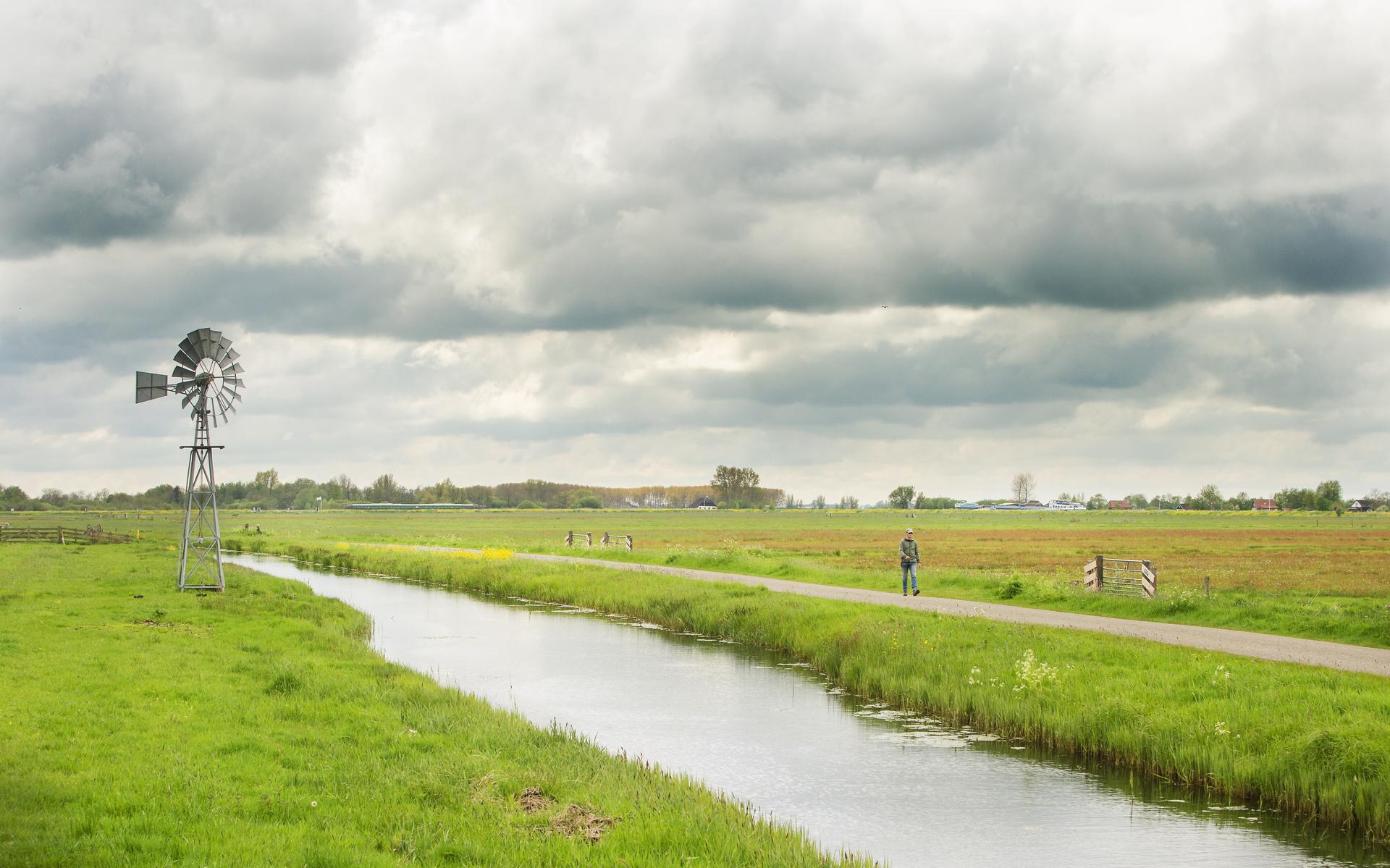 The Weideleven Foundation polder near Earnewâld, where farmland is managed to make it suitable for grassland birds, insects and soil life.  Wetterskip Fryslân should show more ambition from the board of directors in promoting biodiversity. 