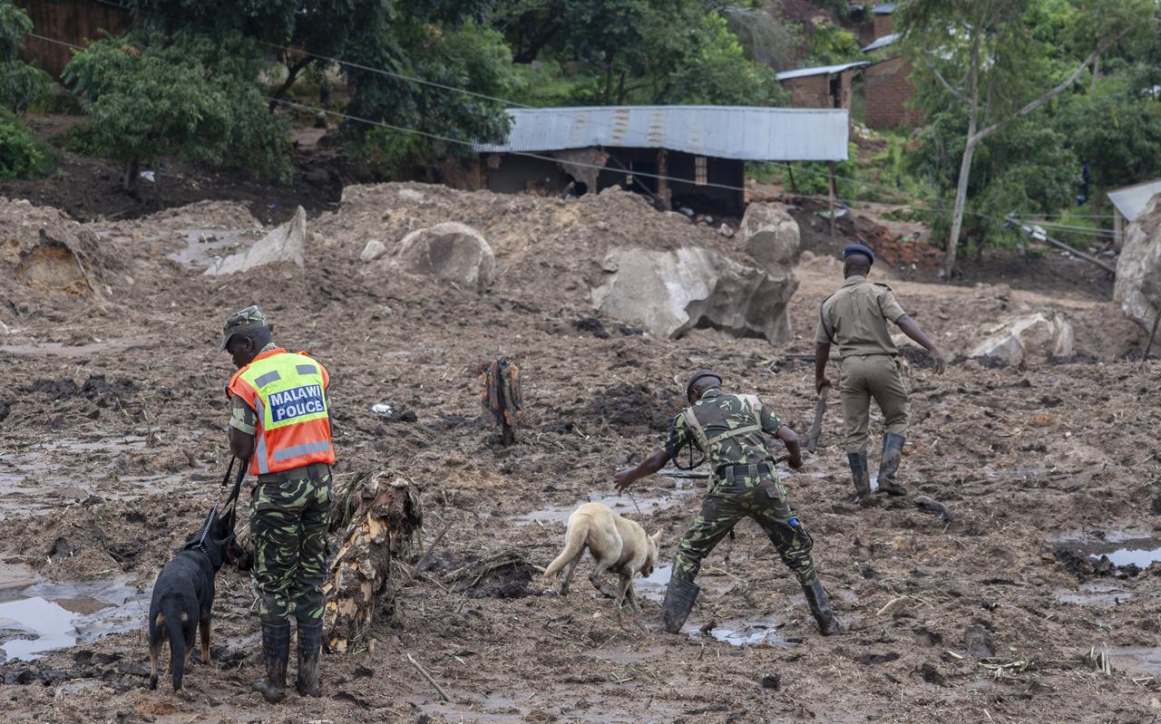 Na de schade door de tropische cycloon Freddy is in Malawi met honden gezocht naar overlevenden.