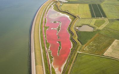 In 2017 kleurde het Wagejot op Texel ook roze.