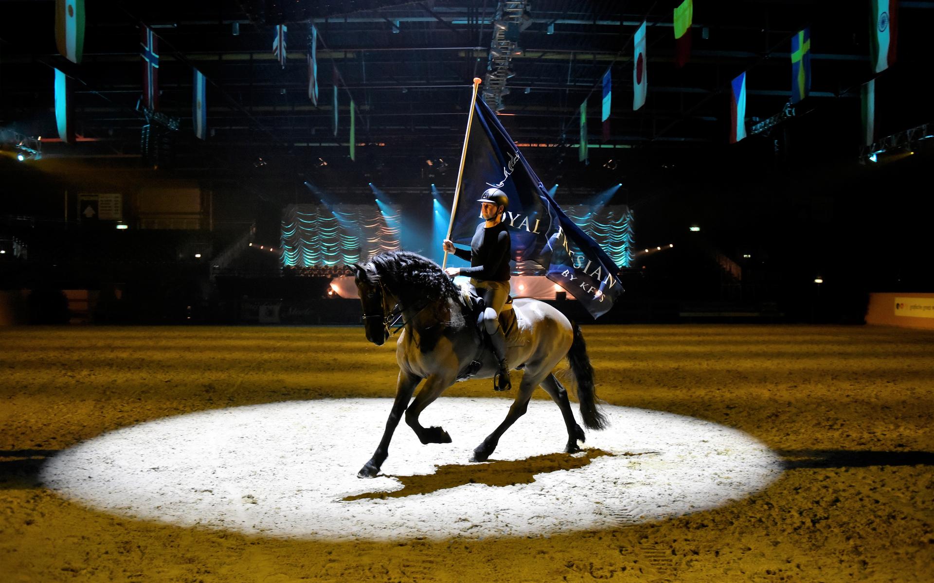 De Friese paarden van de familie Visser uit Burdaard mogen ook gewoon paard zijn. 'Se meie no noch e