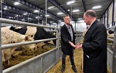 Freddie Visser (links) en Theus de Witt onderhandelen over een koe op de veemarkt in Leeuwarden.