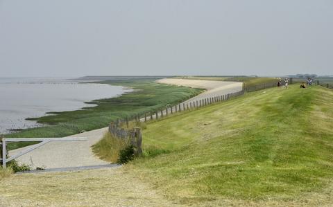 De Waddenzeedijk bij Koehool. 