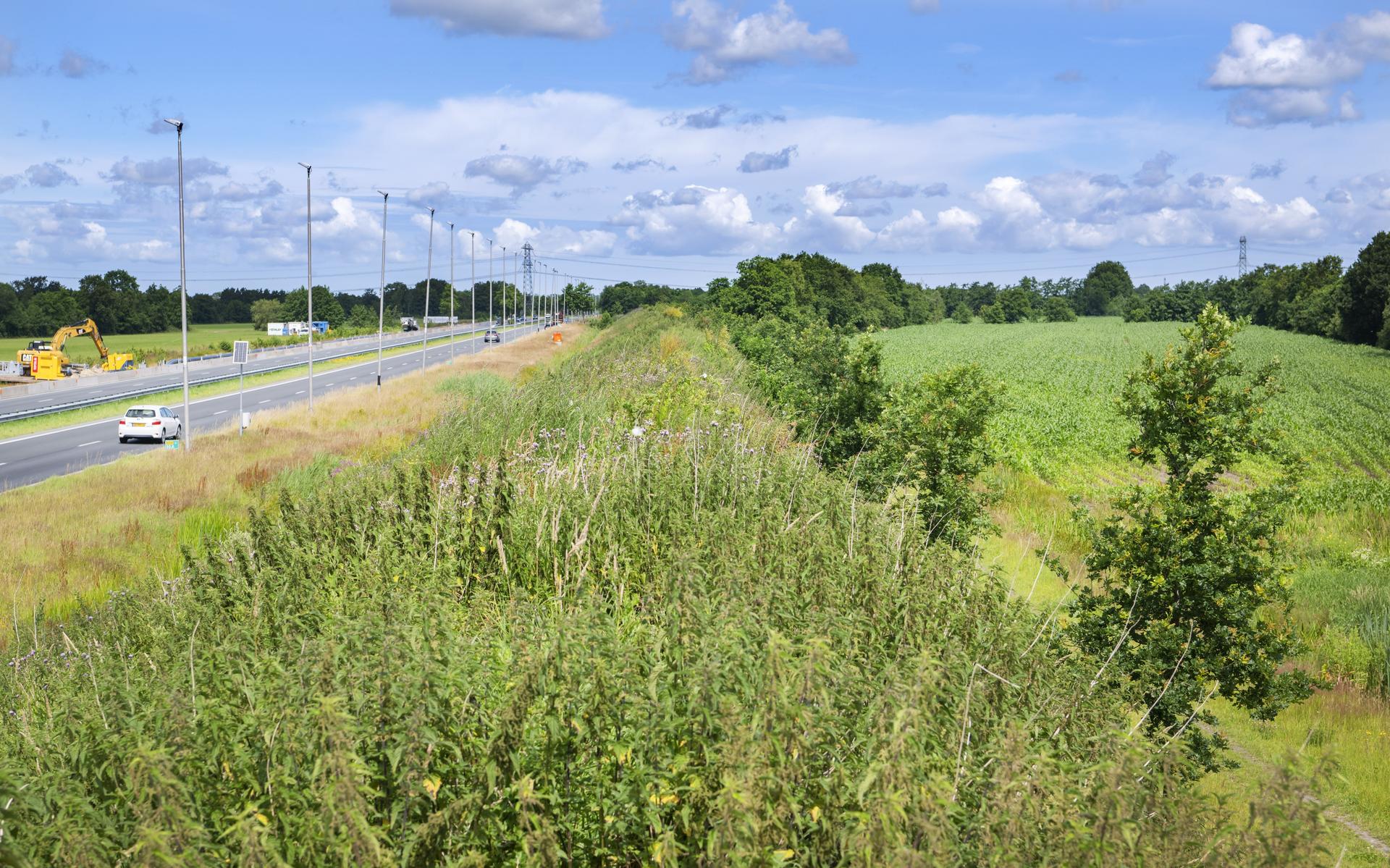 Grondspeculatie bij het agrarisch land rechts naast de Sintrale As bij Burgum-West.