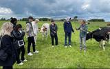 De groep influencers op bezoek bij biologische melkveehouders Sybrand en Jolanda Bouma in Grou.