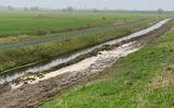 Het witte water bij de Haak om Leeuwarden. 