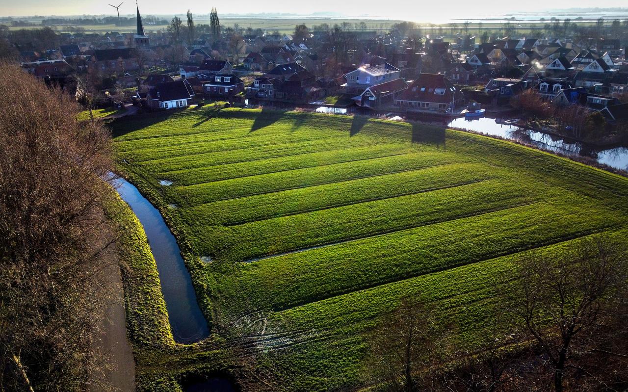 Het perceel land aan de Afkelânsdyk bij Oppenhuizen waar in de toekomst wellicht huizen gebouwd gaan worden. Het perceel land aan de Afkelânsdyk bij Oppenhuizen waar in de toekomst wellicht huizen gebouwd gaan worden.