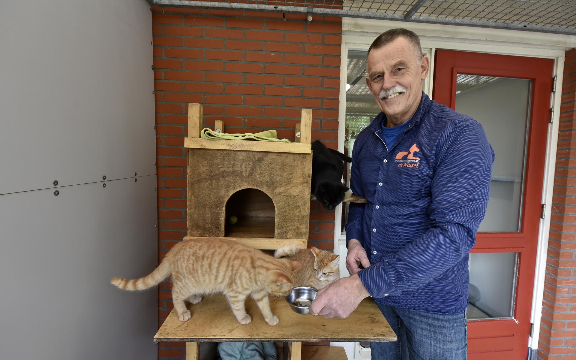 Teije de Haan zag hoe De Wissel in Leeuwarden van een rammelende kennel een professioneel dierenasie