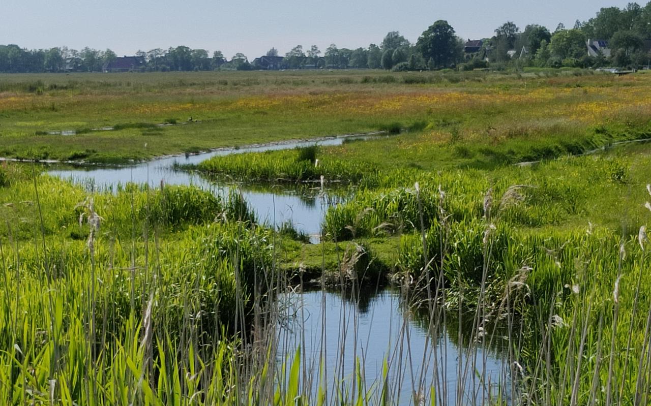 Vogelgebied De Hounspolder waar vlakbij nieuwbouwwoningen komen. Vogelgebied De Hounspolder waar vlakbij nieuwbouwwoningen komen.