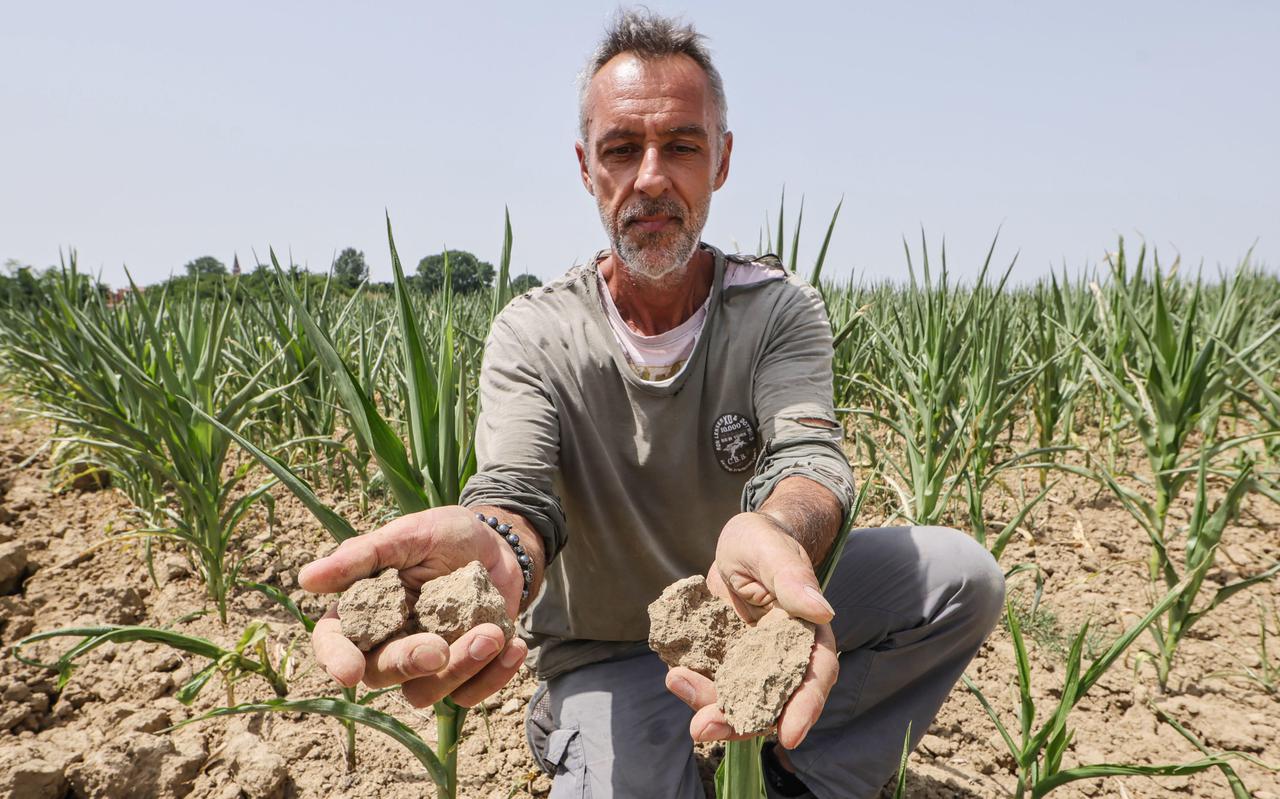 Een Italiaanse boer in Casalbuttano toont zijn verdroogde grond, juni vorig jaar.