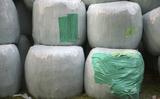 Jaarlijks wordt er wereldwijd 12,5 miljoen ton plastic gebruikt in de landbouw.