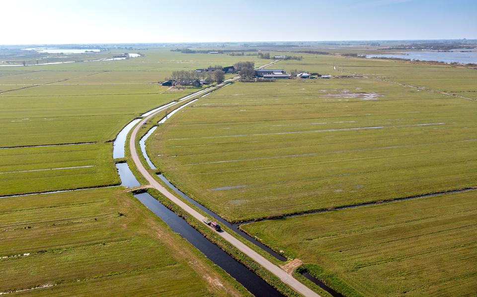 Veenweidepolder Hegewarren bij Oudega (S.). In deze polder is het gebiedsproces van landbouwtransitie al ver gevorderd. 