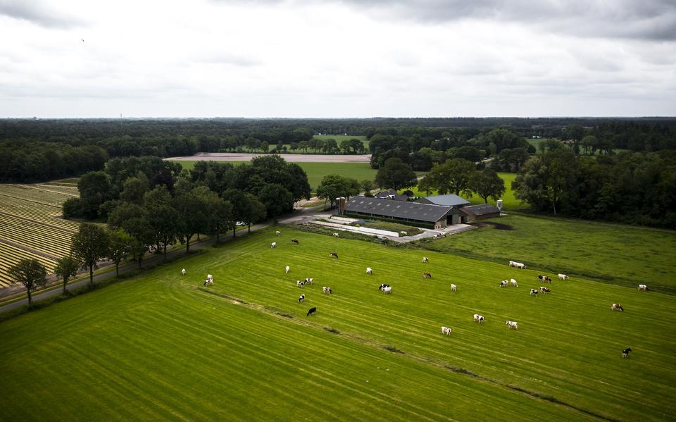 Een dronefoto van een melkveehouderij. 