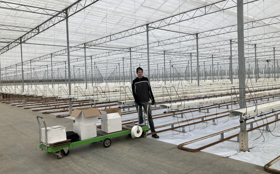 Peter Feenstra is bezig met het leggen van CO2-slangen in de lege kas van Greenhouse Dili in Berltsum. 