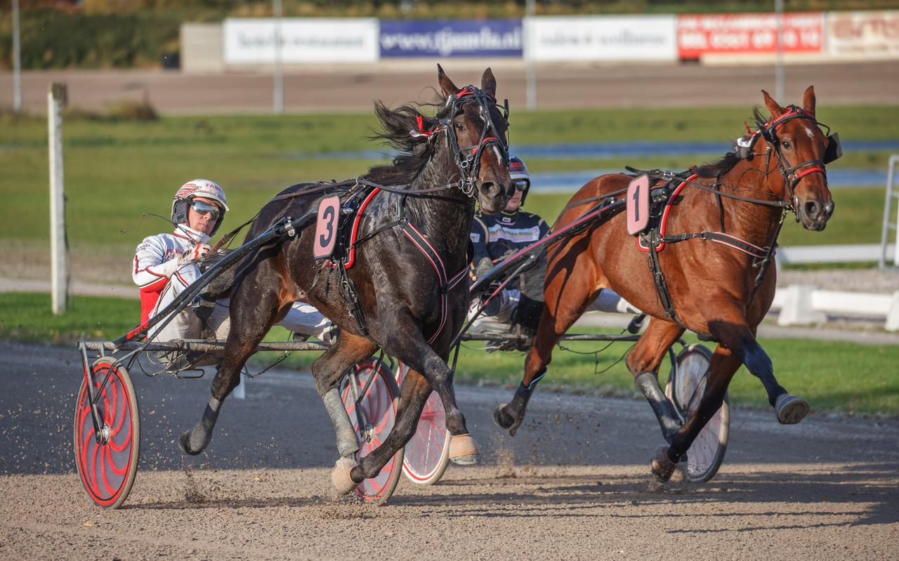 De eindsprint van de Fokkers Trofee L voor 3-jarige hengsten tussen winnaar Let it be VP (3) met pikeur Robin Bakker en runner up Love You Too (1) met Micha Brouwer. De eindsprint van de Fokkers Trofee L voor 3-jarige hengsten tussen winnaar Let it be VP (3) met pikeur Robin Bakker en runner up Love You Too (1) met Micha Brouwer.