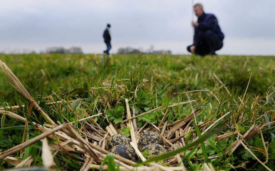 Het lukte het college niet het aantal weidevogels in gebieden met agrarisch natuurgebied te verhogen. Wel is er onder meer een biodiversiteitsherstelprogramma opgesteld.