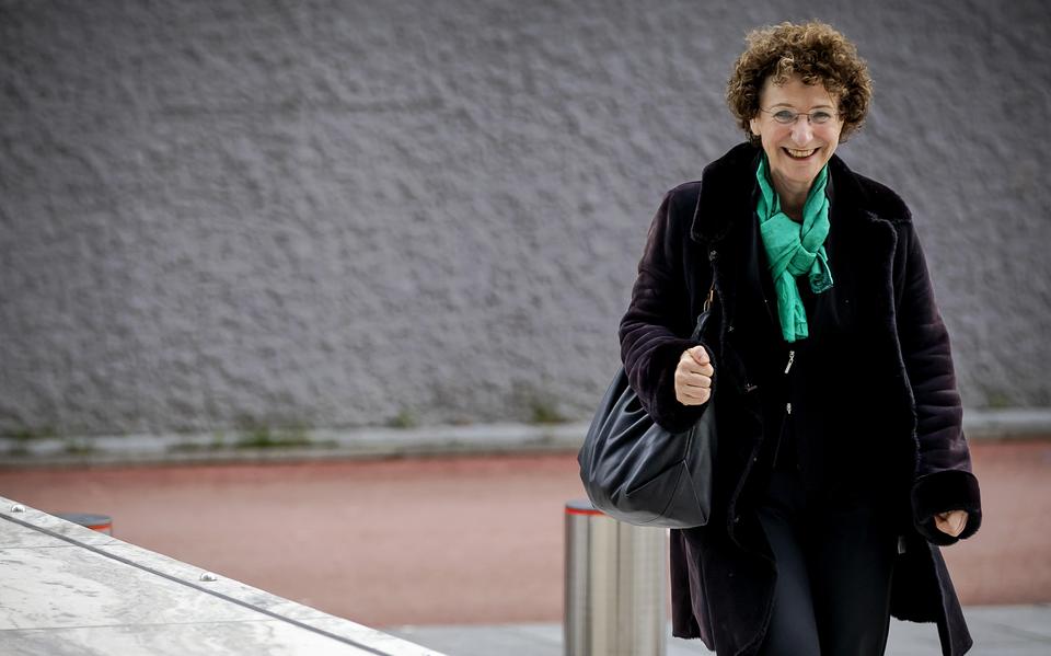 Hanna Luden van het Centrum Informatie en Documentatie Israel (CIDI) komt in 2019 aan bij de rechtbank Amsterdam waar Tweede Kamerlid Thierry Baudet (FvD) zich tijdens een kort geding moet verantwoorden voor zijn uitspraken waarin hij de coronamaatregelen van het kabinet vergelijkt met de Holocaust. Baudet moest de uitspraken verwijderen van sociale media. 