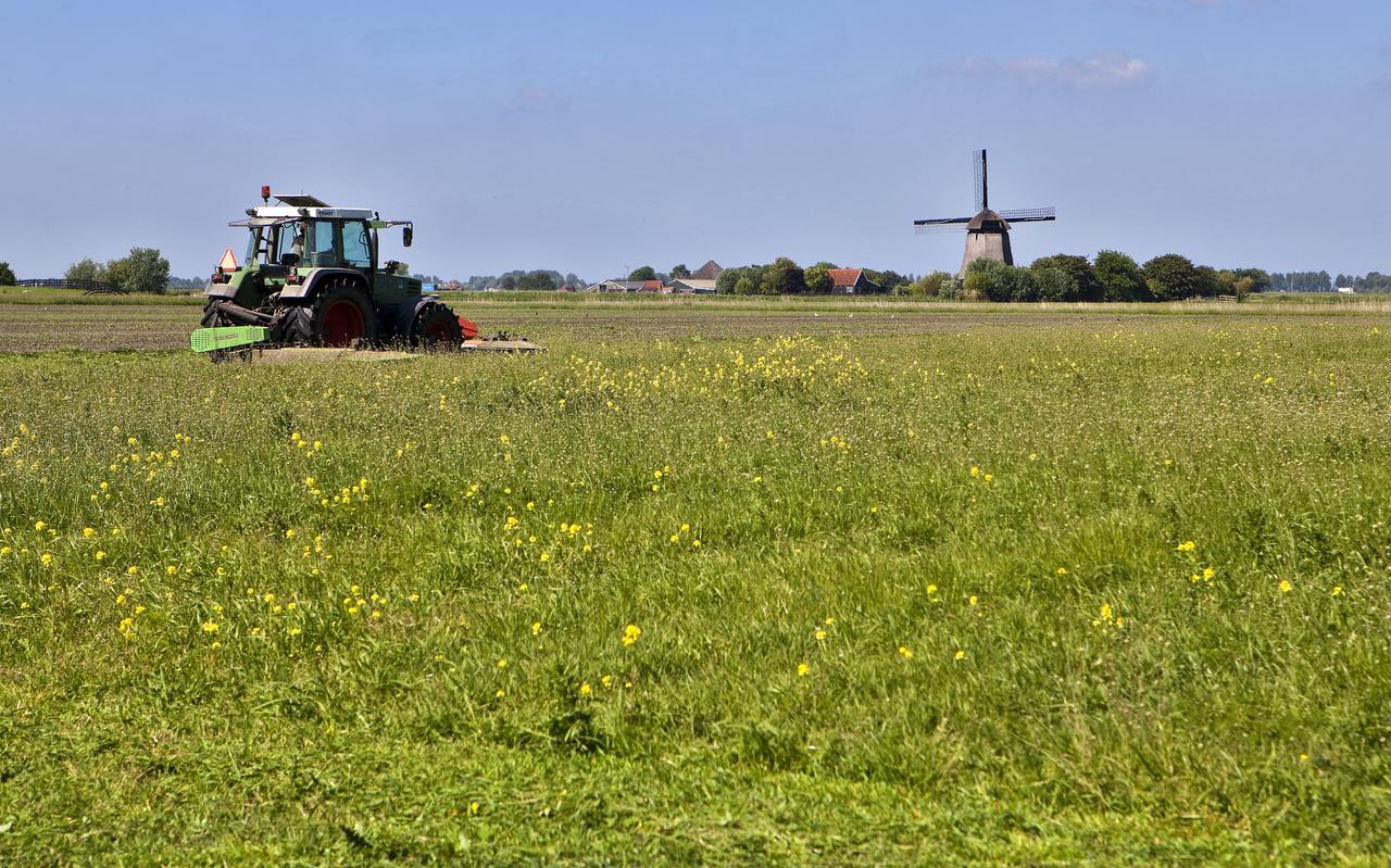 Maaien van grasland waarop relatief veel klaver groeit bij een biologisch-dynamische boerderij. Maaien van grasland waarop relatief veel klaver groeit bij een biologisch-dynamische boerderij.