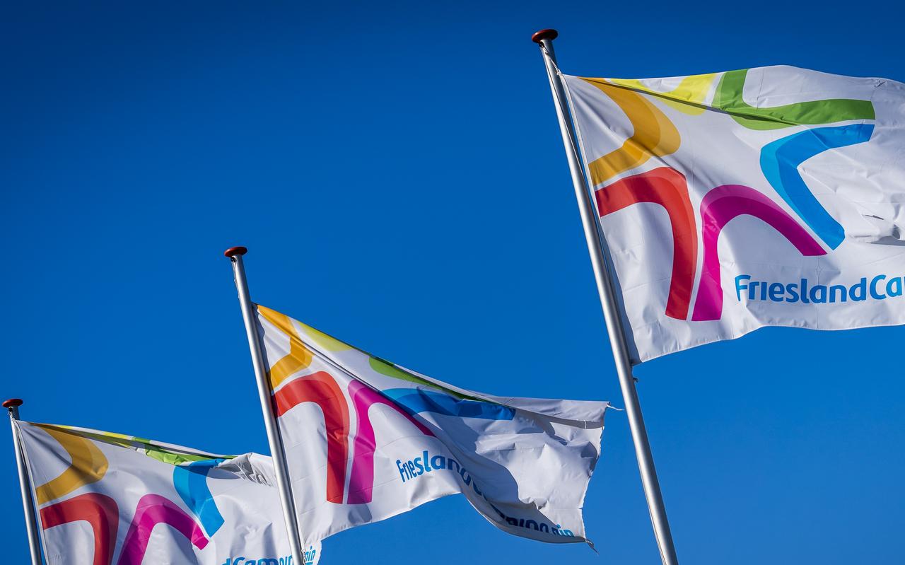 Vlaggen bij een vestiging van zuivelconcern FrieslandCampina. Vlaggen bij een vestiging van zuivelconcern FrieslandCampina.